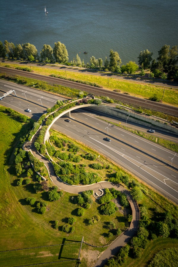 Vancouver Land Bridge