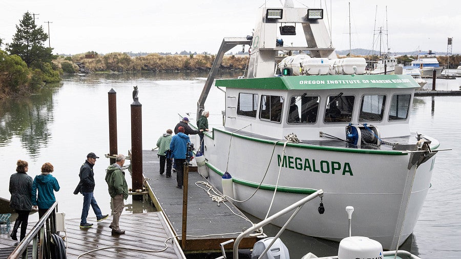 Meet sea critters and celebrate science in Charleston