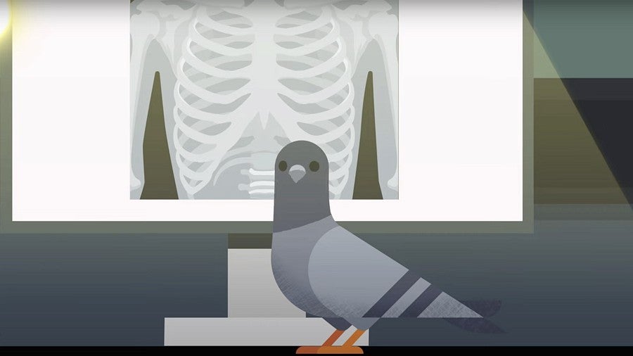 Pigeons Vs Ai Should We Ever Replace Doctors With Algorithms