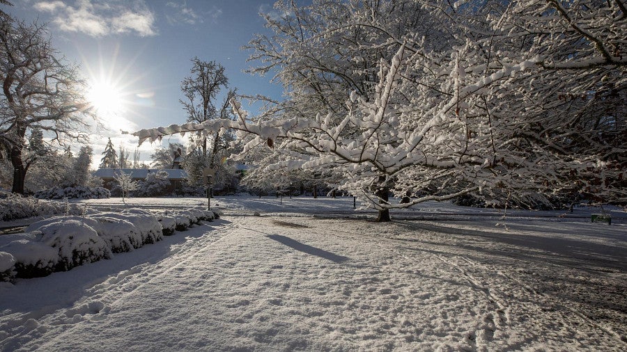 New year, new arts, culture and music emerge to welcome 2026