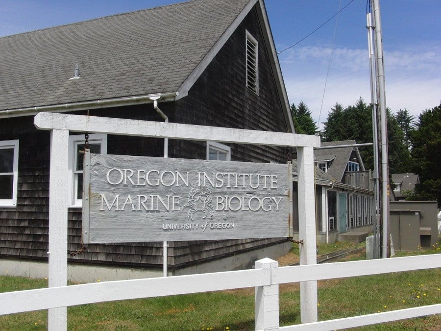 OIMB's Charleston Marine Life Center gets funding bonus | OregonNews
