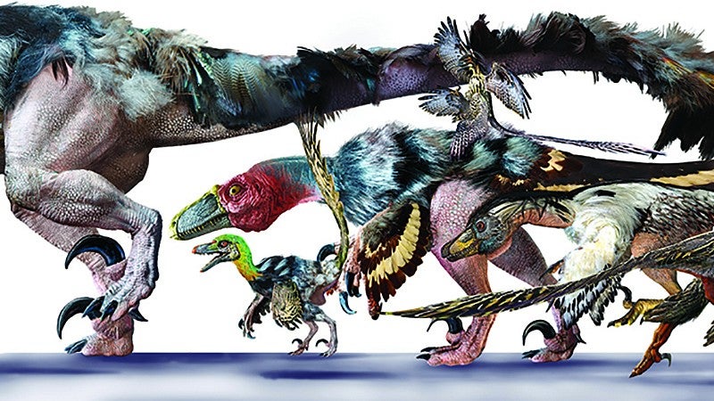 原画】Archaeopteryx don´t know the kimono.