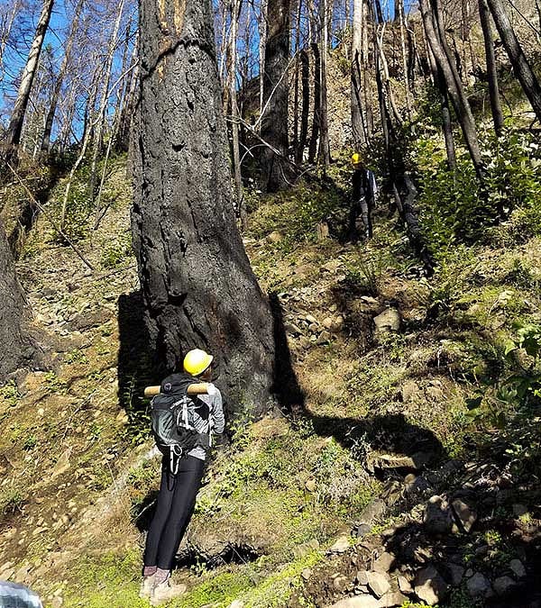 Hiker looking up at a hillside