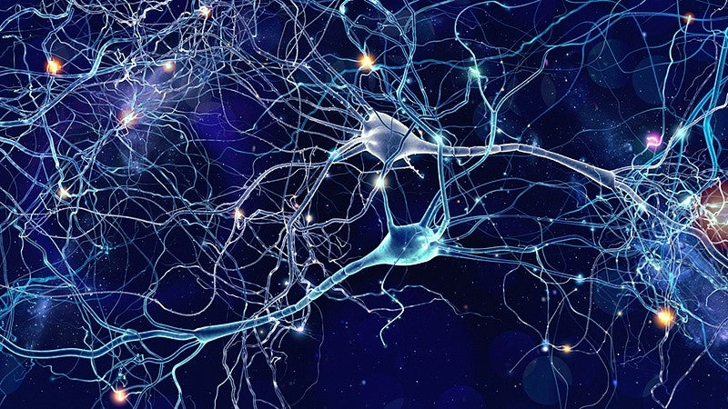 Illustration of neurons