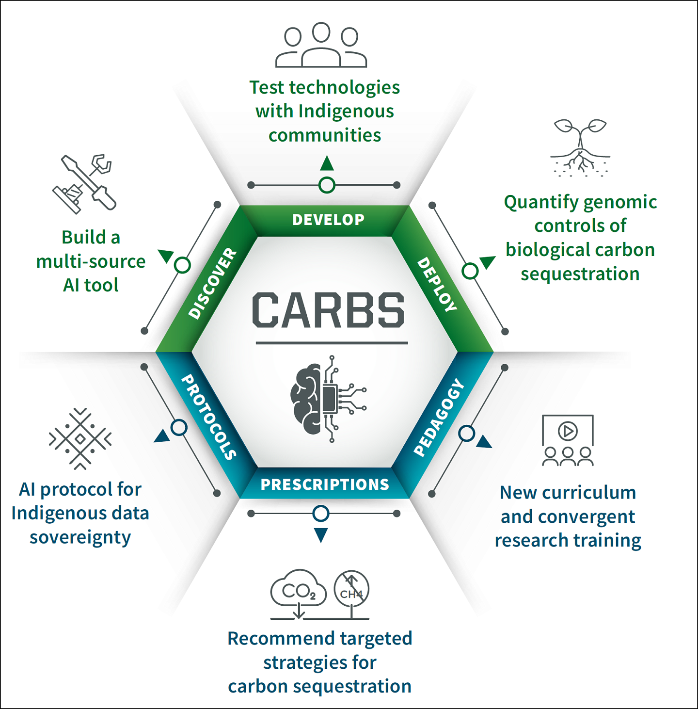 CARBS process graphic