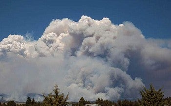 large cloud of wildfire smoke over forest