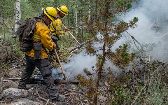 Firefighters smothering burning brush