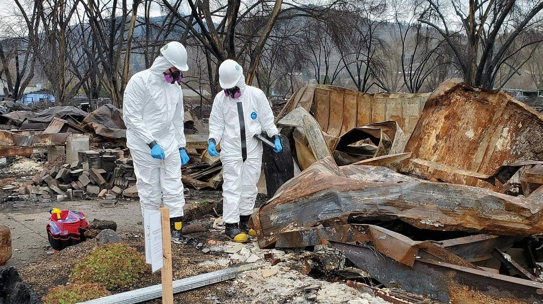 scientists investigating wildfire aftermath