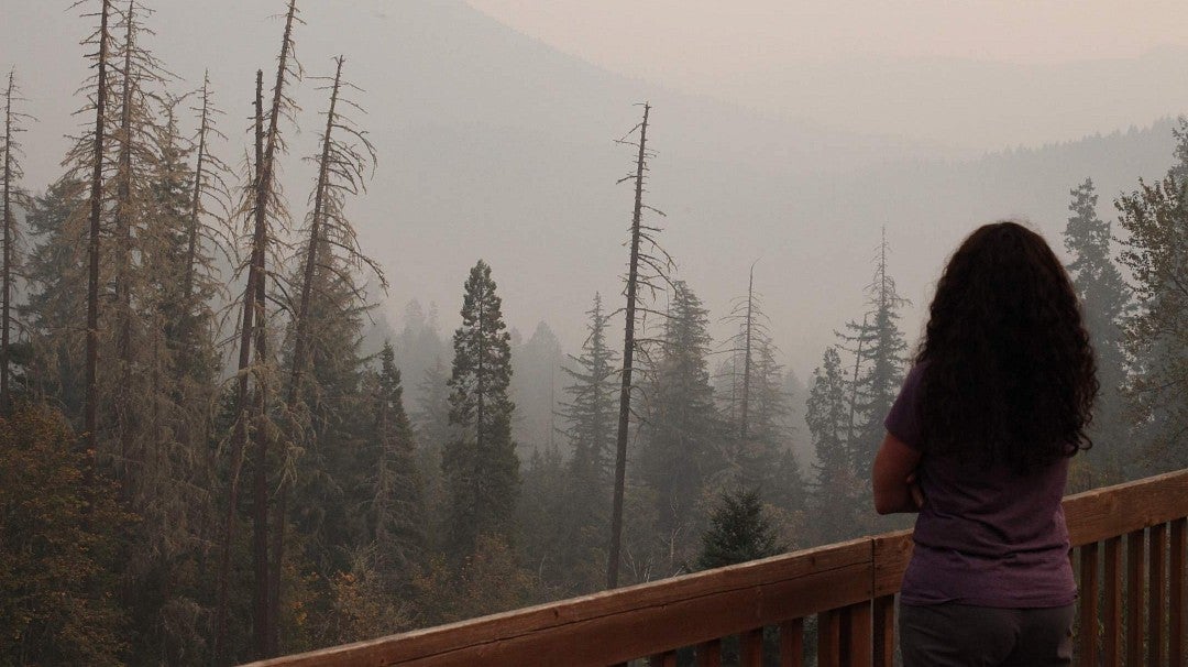 person gazing at wildfire smoke