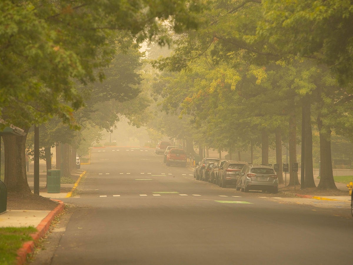 Wildfire smoke clouds the air on an empty street going through the University of Oregon campus. Green trees and cars line the road.