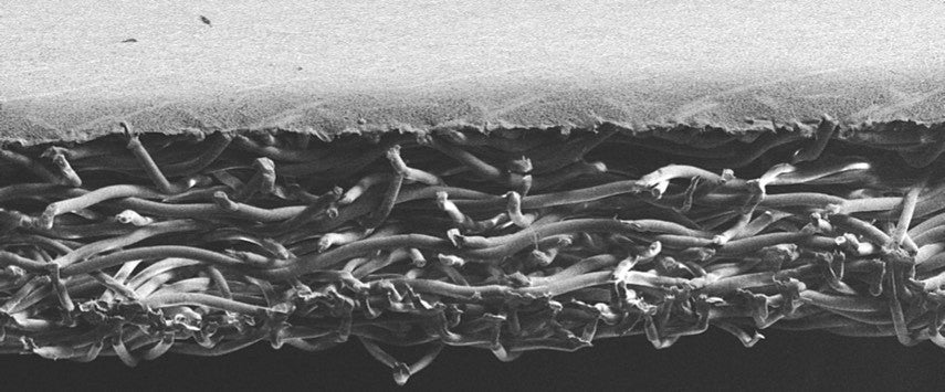 microscope view of a two-layer artificial skin