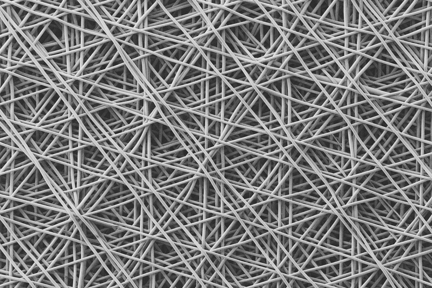 Top view of meltelectrowriting scaffold 