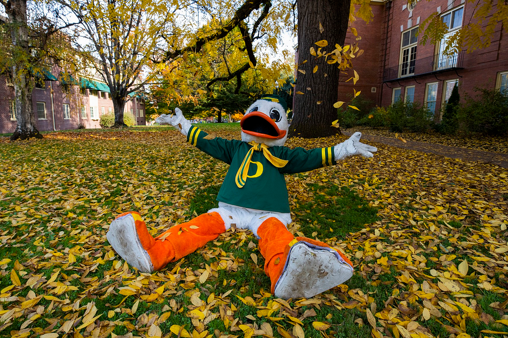 The Duck sitting on a bed of leaves and tossing leaves over his head.