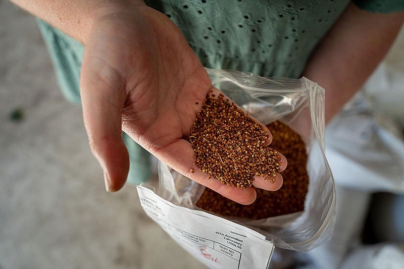 a hand holding seed mix for cover crops