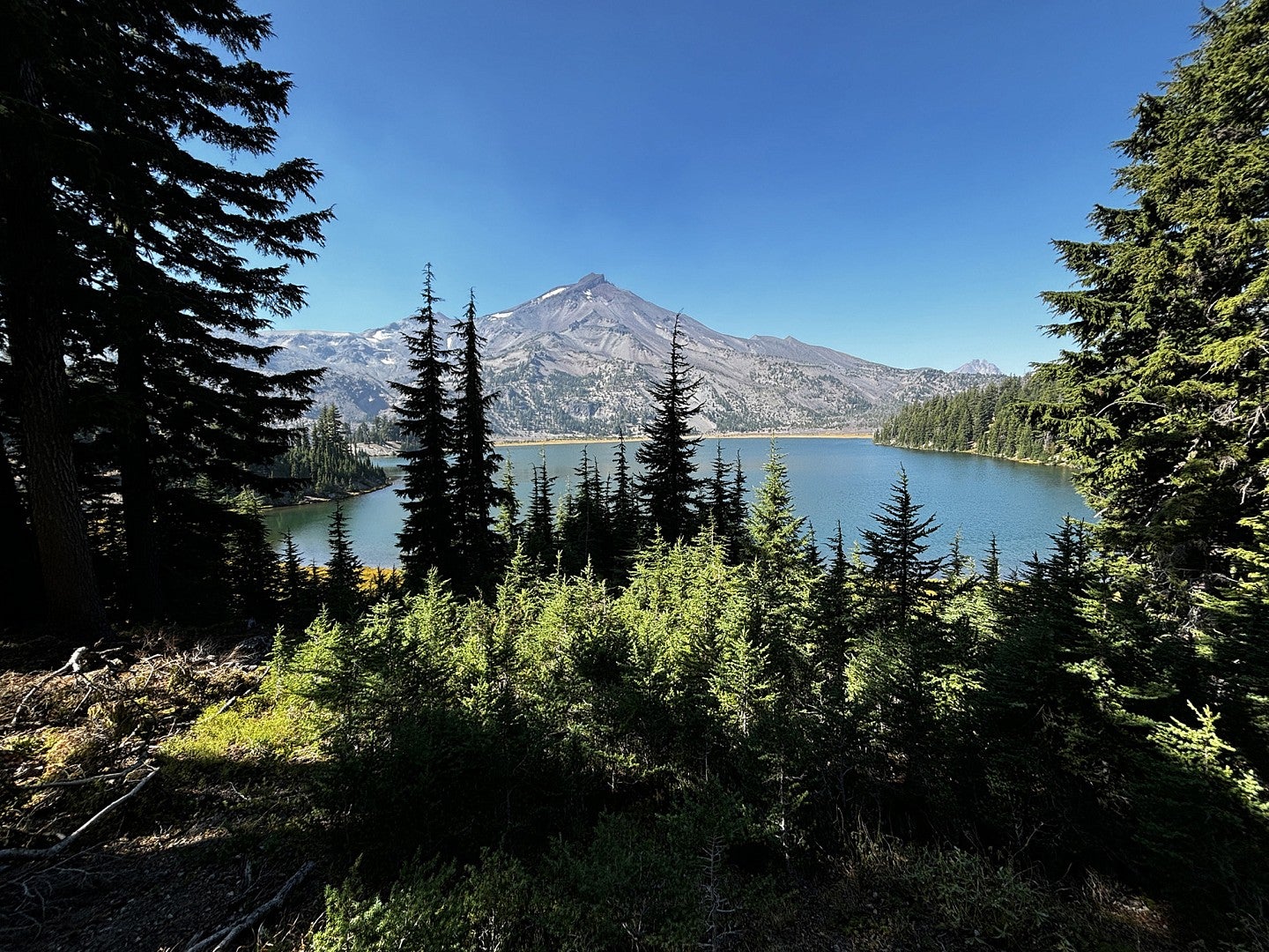 The South Sister viewed from across one of the Green Lakes and surrounded by evergreen trees.