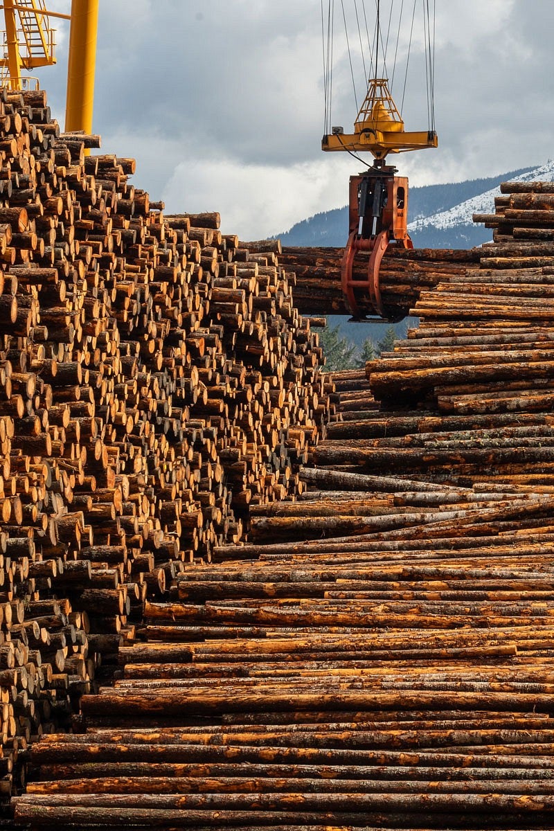 large log piles and a crane moving logs