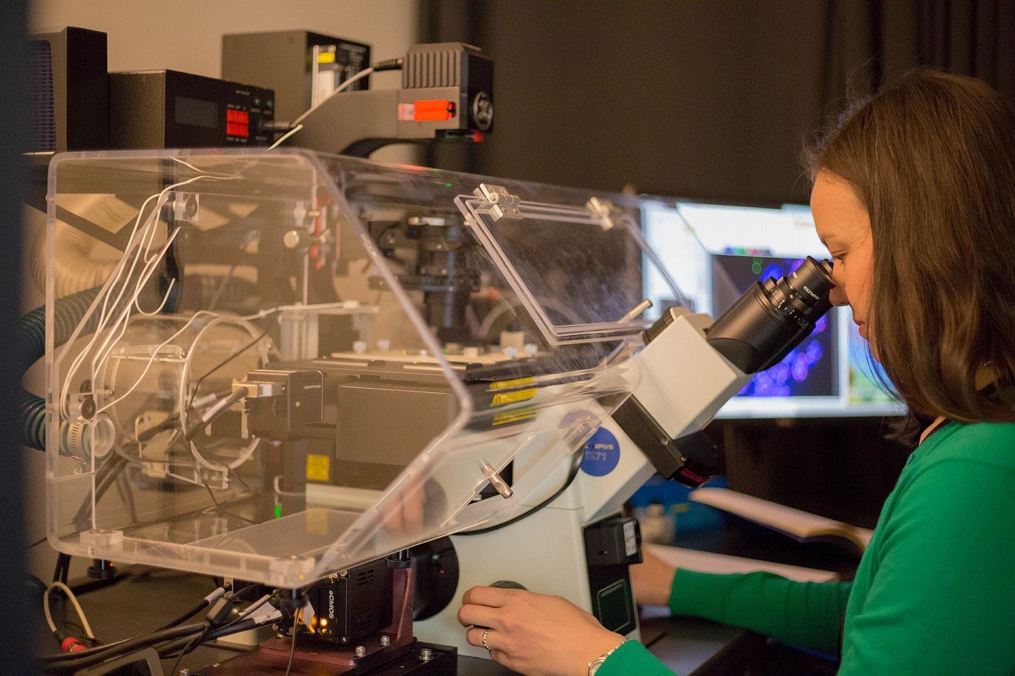 Diana Libuda looking through a microscope