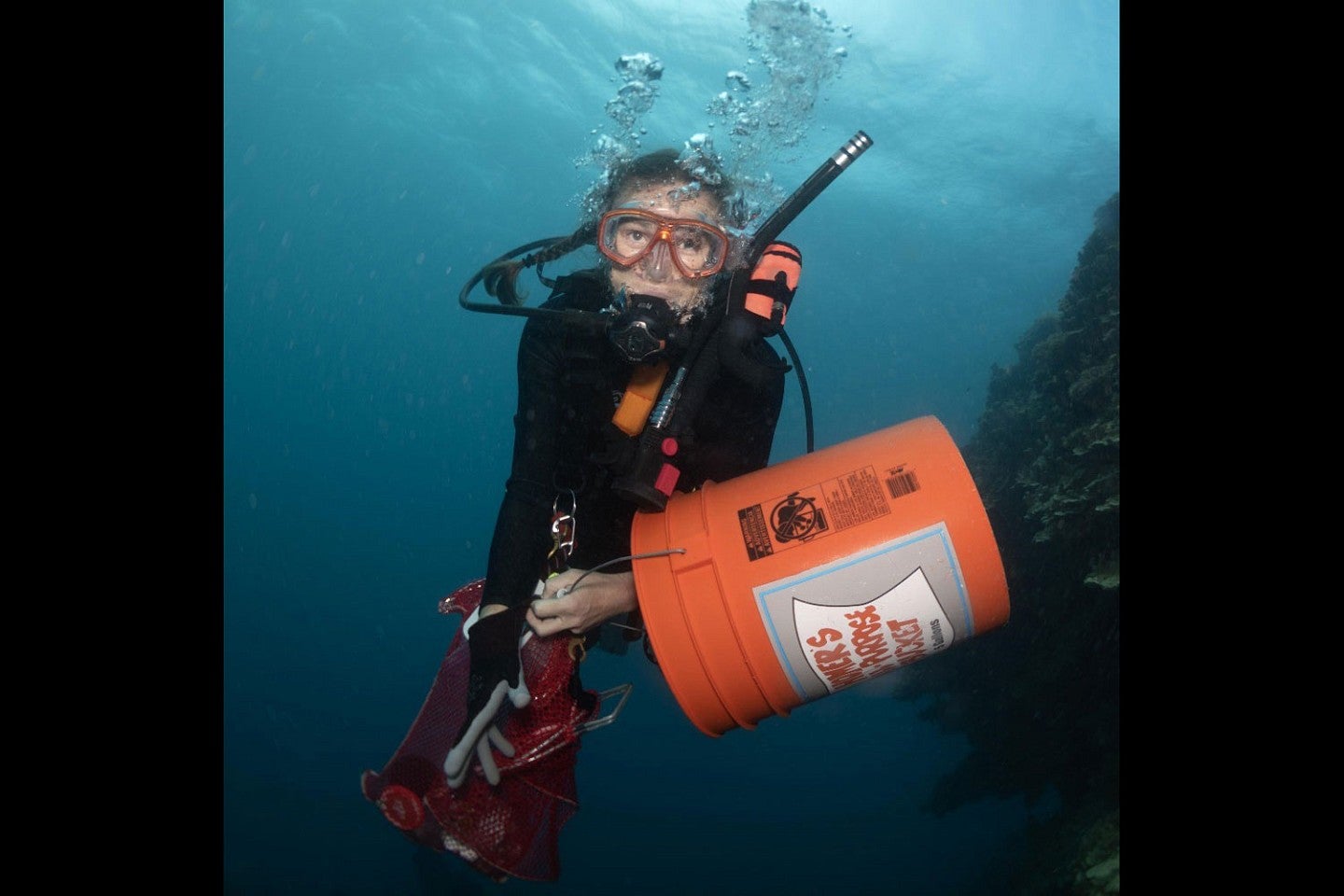 Professor Maslakova swims in the ocean in scuba gear