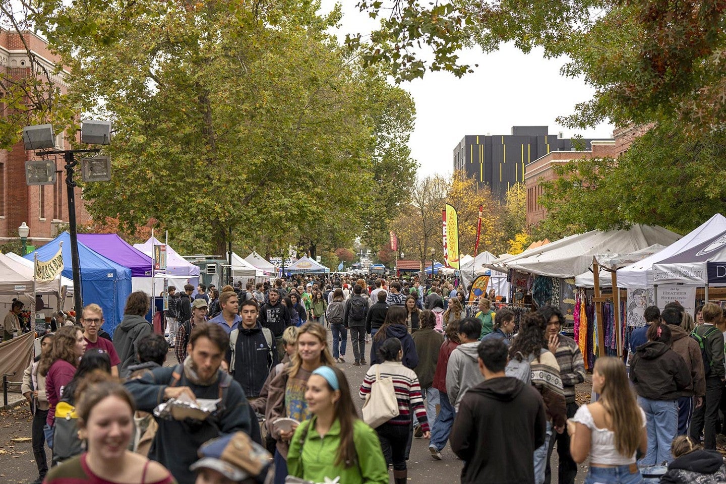 a crowd at the street faire on the UO Eugene campus