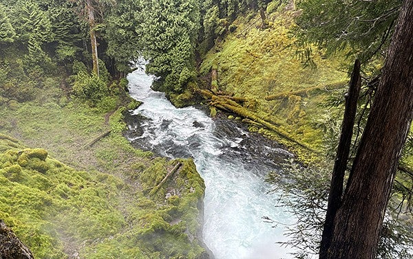 McKenzie River whitewater