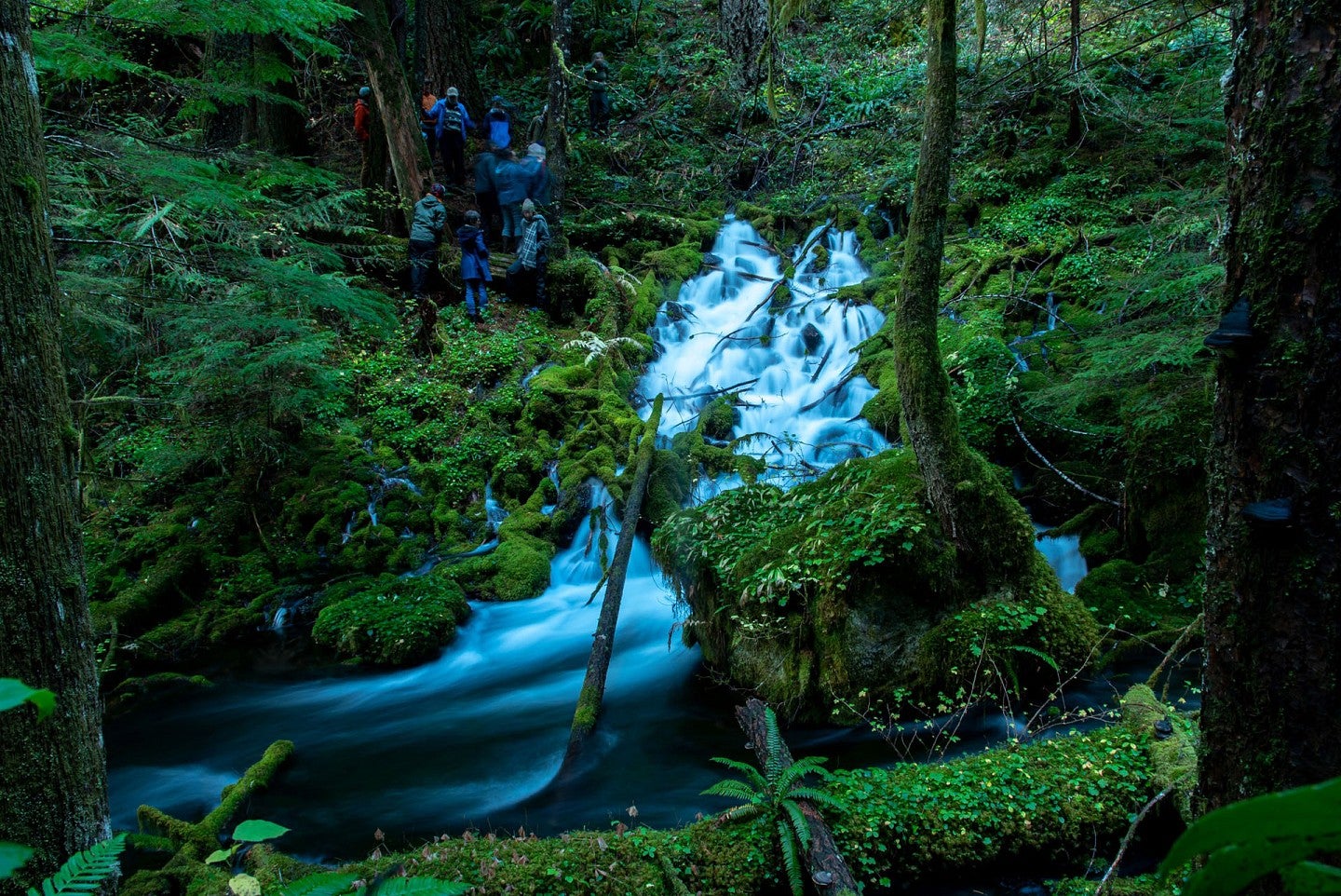 People viewing a spring amid mossy rocks