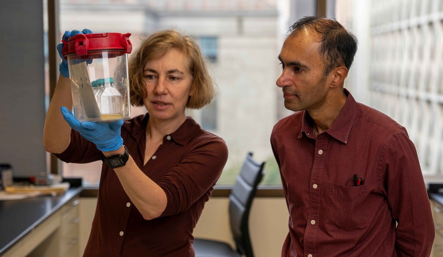 Karen Guillemin and Raghu Parathasarathy in a lab