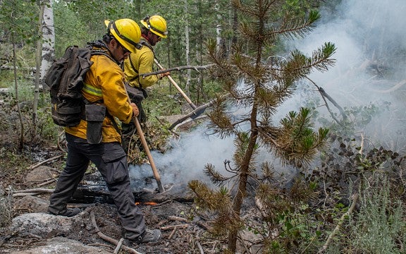 Firefighters smothering burning brush