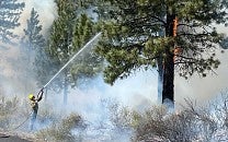 firefighter spraying tree with water
