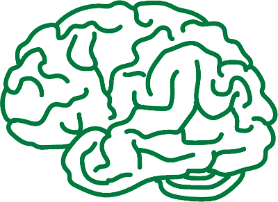 line drawing of a brain