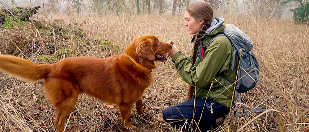 a truffle dog and handler