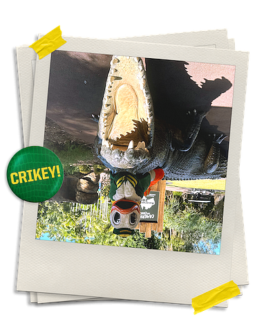 Upside down photo of the Oregon Duck posing on top of a life sized crocodile statue