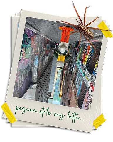 Upside down polaroid photo of The Duck standing in alley with graffiti