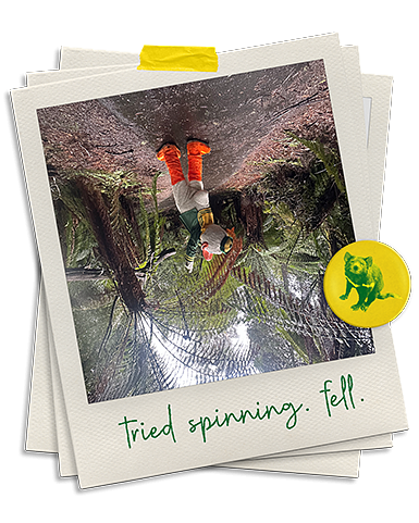 Upside down photo of The Duck standing under a large fern