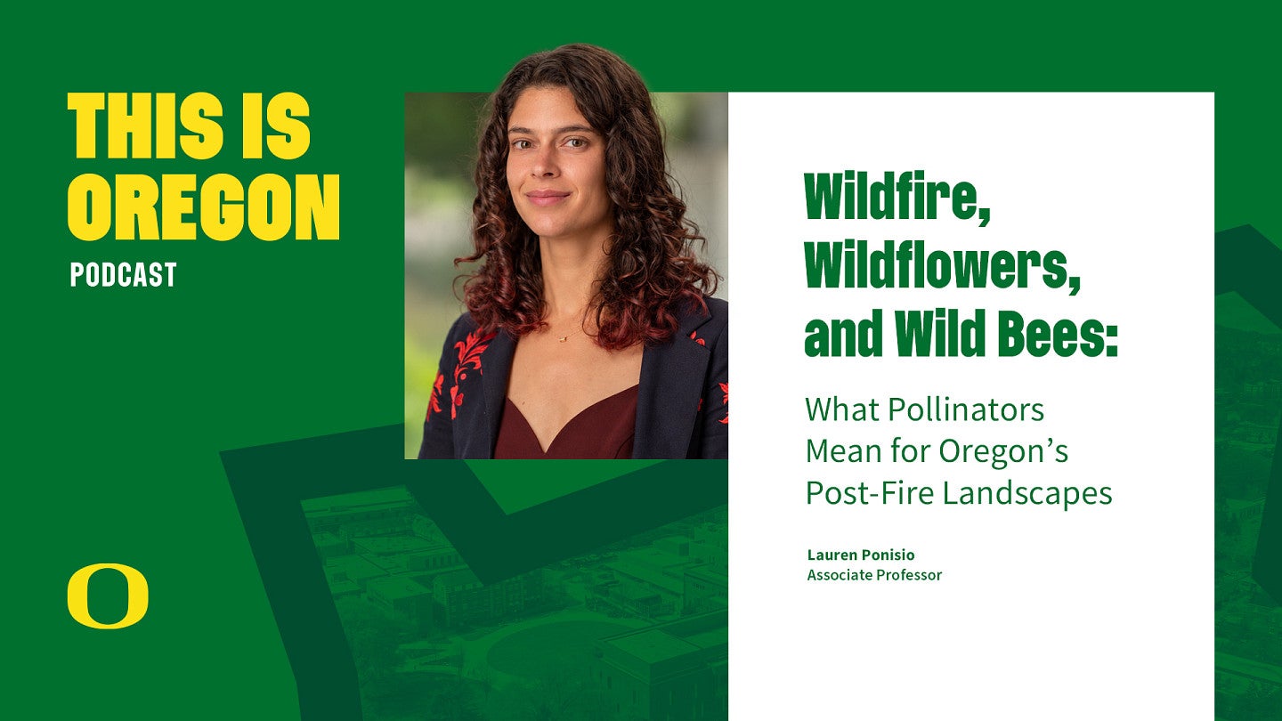 This is Oregon podcast graphic featuring an image of Lauren Ponisio and the episode title, "'Wildfire, Wildflowers, and Wild Bees: What Pollinators Mean for Oregon’s Post-Fire Landscapes"