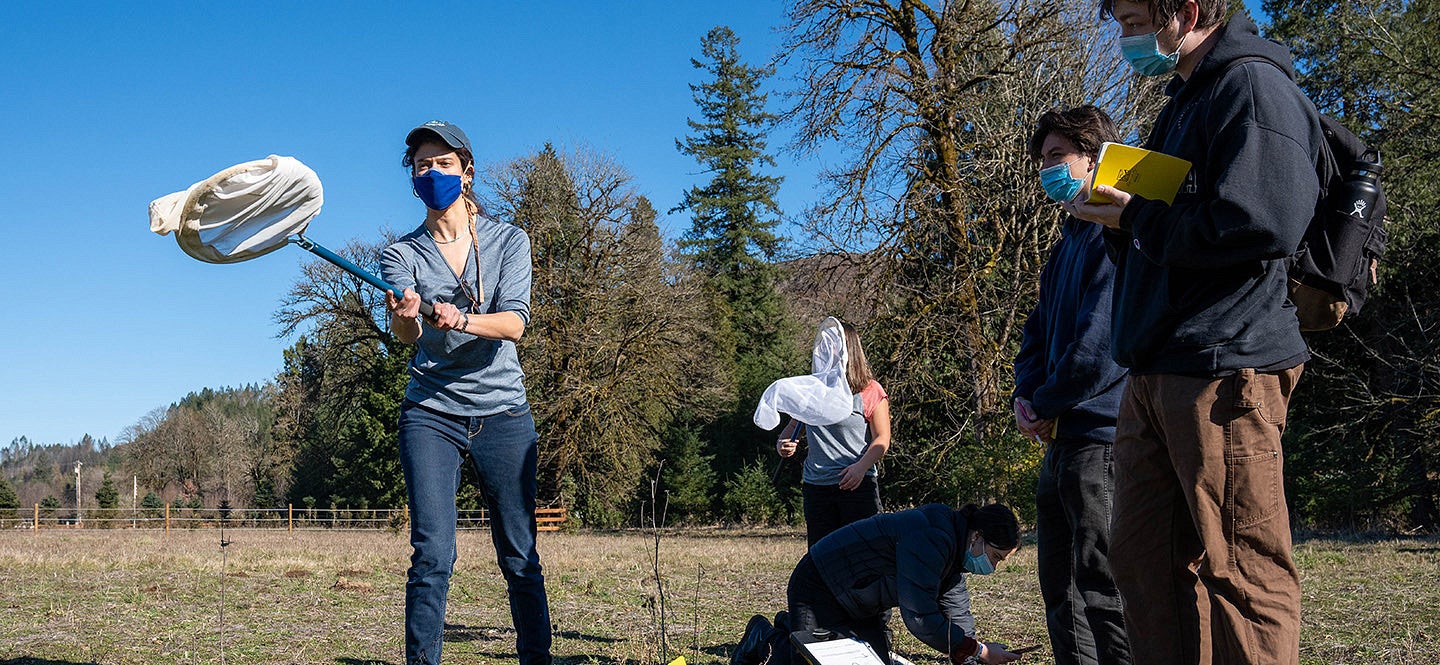 Students doing fieldwork