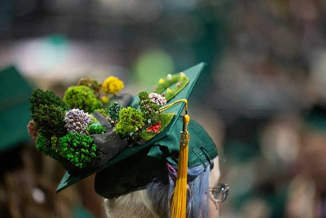 Mortar board with trees and a landscape on top Mortar board with trees and a landscape on top