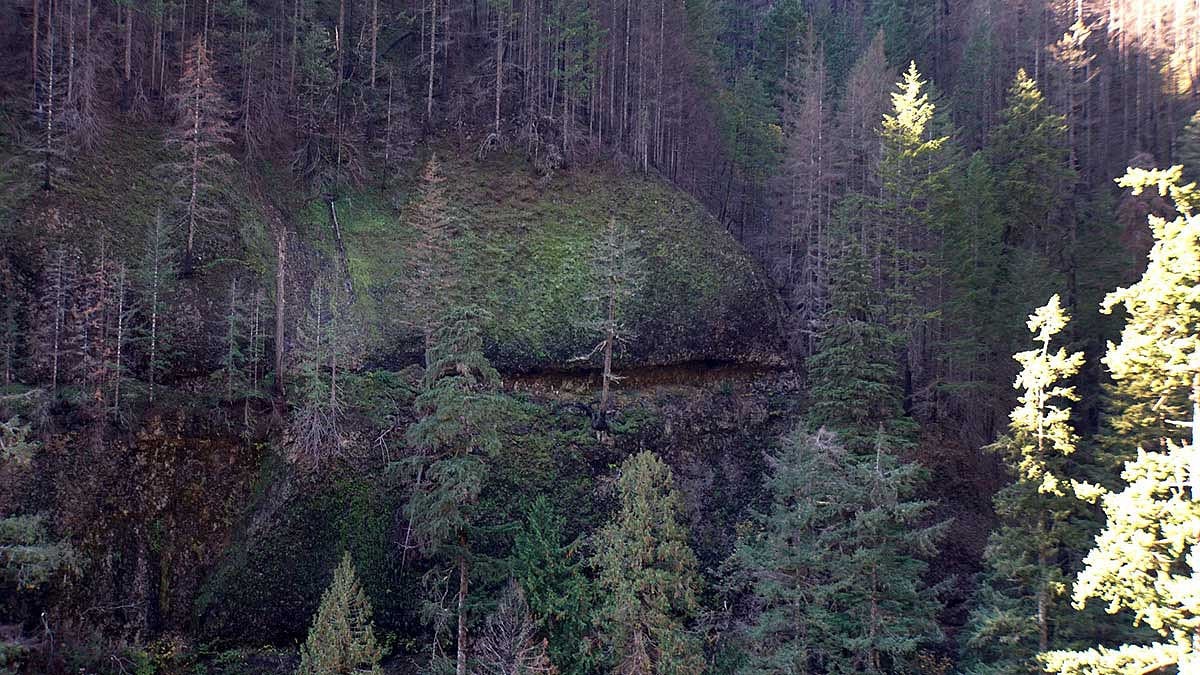 Eagle Creek hillside