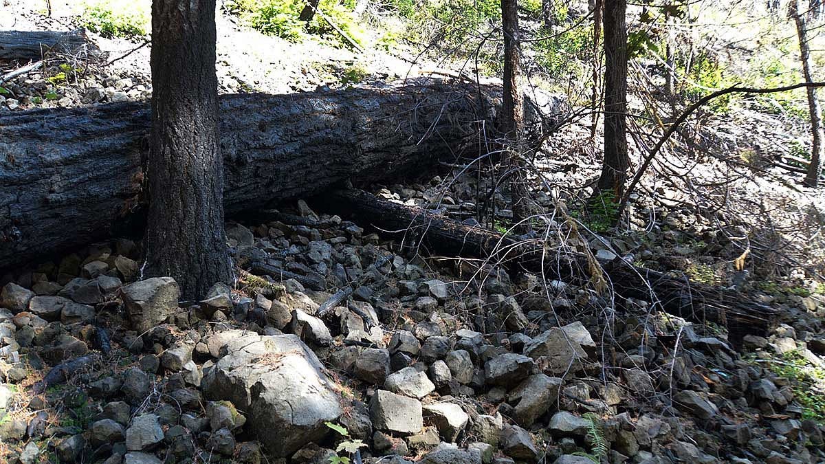 Eagle Creek hillside