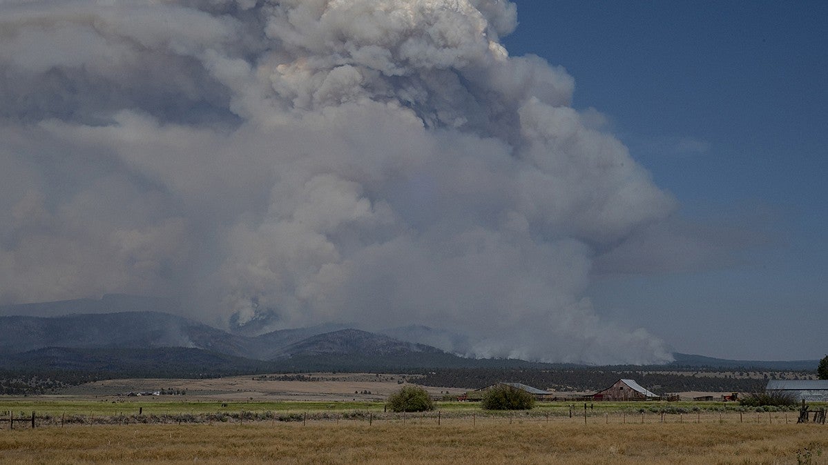The Bootleg Fire in Southern Oregon (above) was one of the largest wildfires in the nation this summer. (Image: Dan Morrison, School of Journalism and Communication) Smoke column from the Bootleg Fire