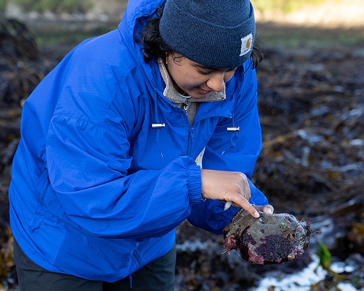 Woman in beanie hat and blue coat examines a tidepool organism.