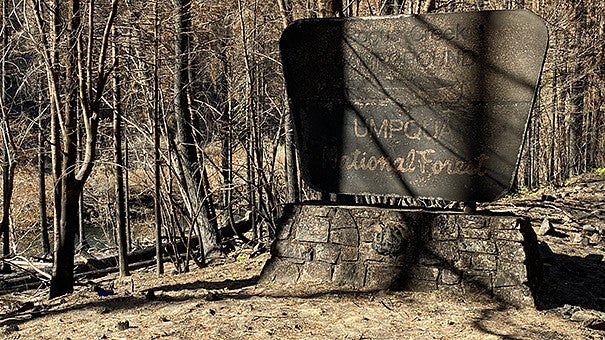 Burned campground sign in Umpqua National Forest