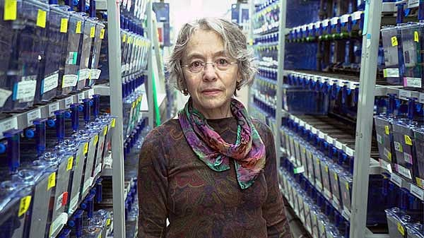 Judith Eisen in the zebrafish lab