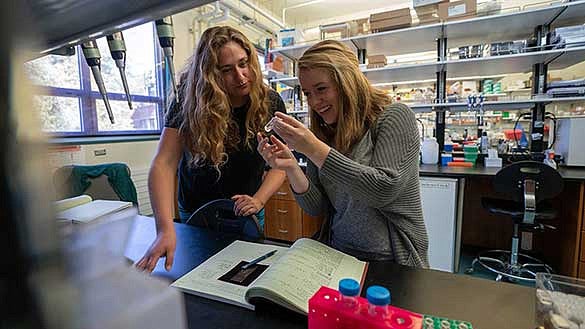 Knight Campus Undergrads doing research