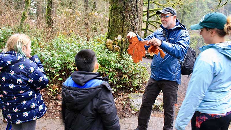 An instructor explaining about some leaves