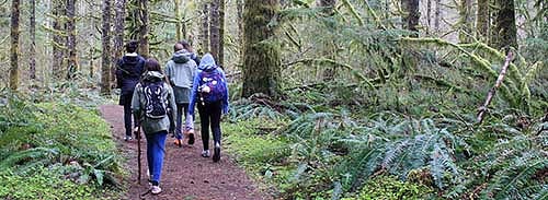 Students from Creston Elementary School walking through the woods