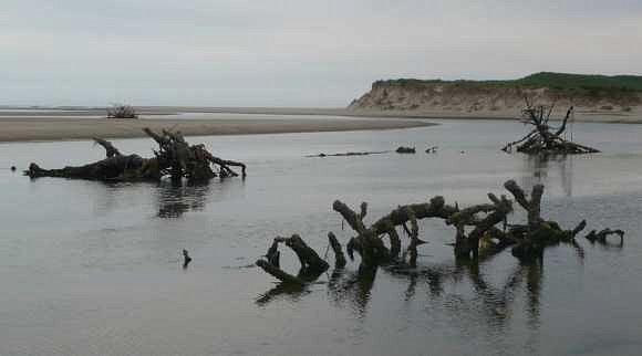 Sand Lake estuary, north of Pacific city. Photograph by Michael Strelow