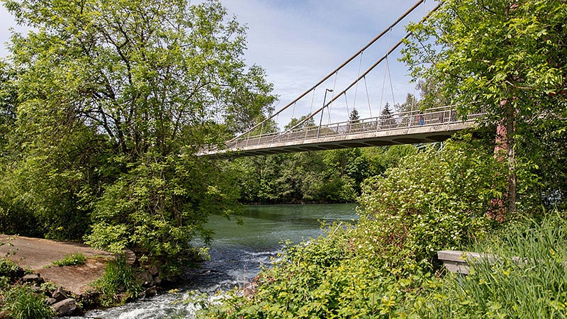 The DeFazio Bridge over Alton Baker Park, an area that used to home to much of Eugene's Black residents. A bridge over the Willamette River near Alton Baker Park