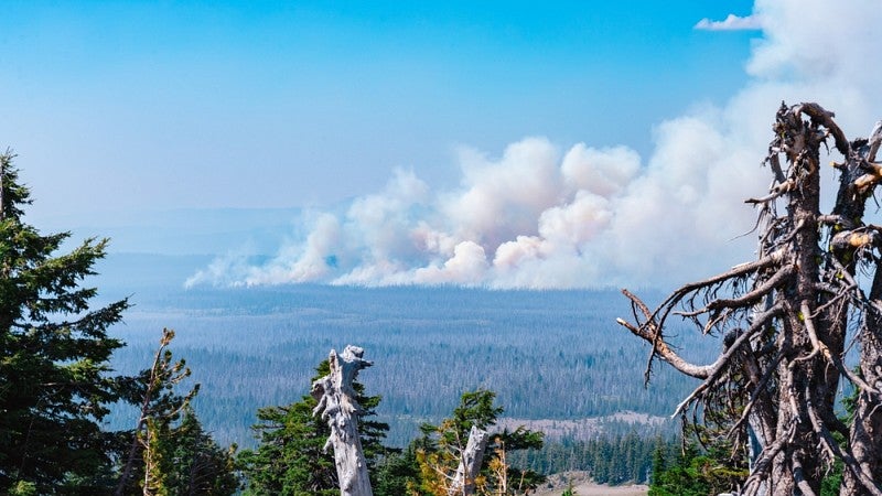 The smoke from a forest fire as seen through the trees near Crater Lake in Oregon.