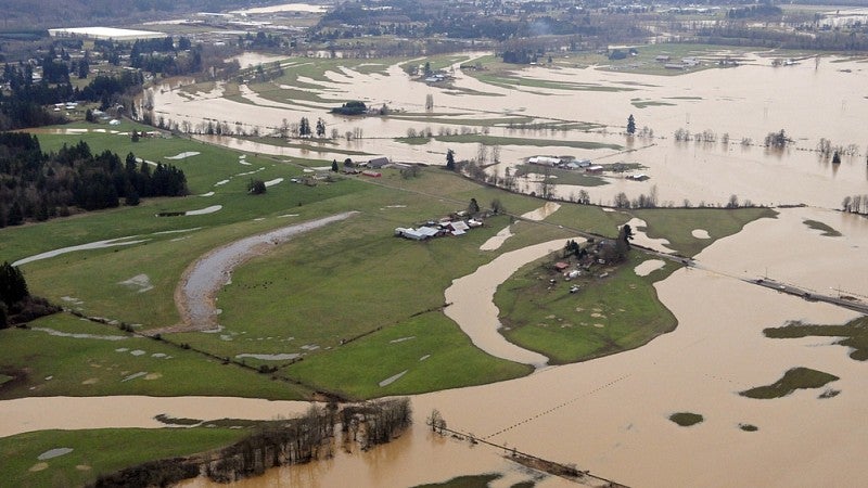 A flooded residential landscape.