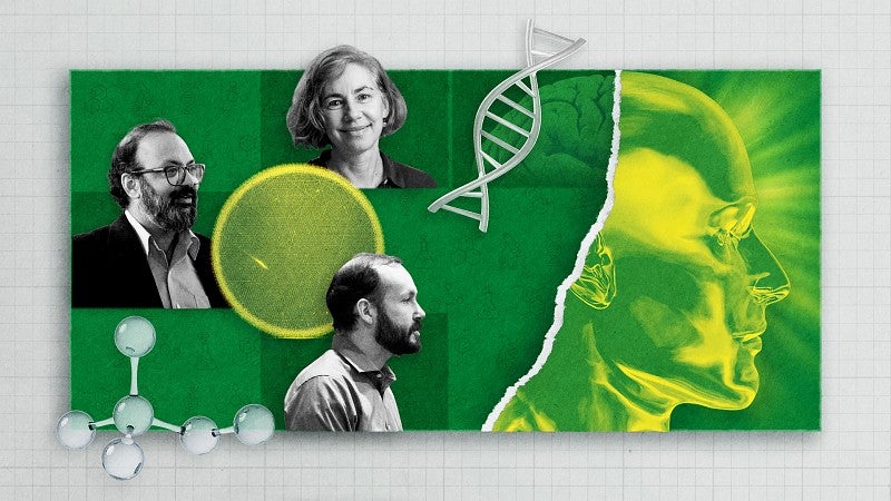 Collage of photos of faculty members and science-related illustrations